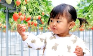 初めての方も安心のサポート体制