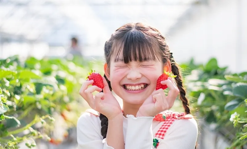 やさしい甘さと控えめな酸味