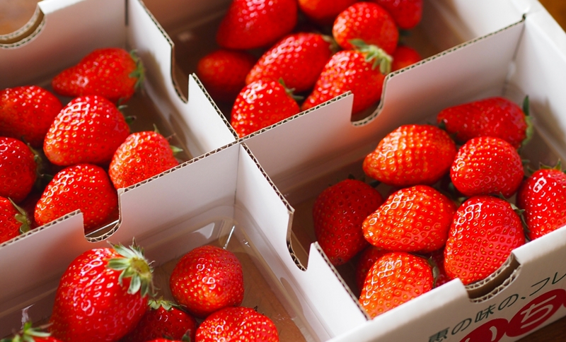 季節限定のいちご<br />
商品ラインナップ