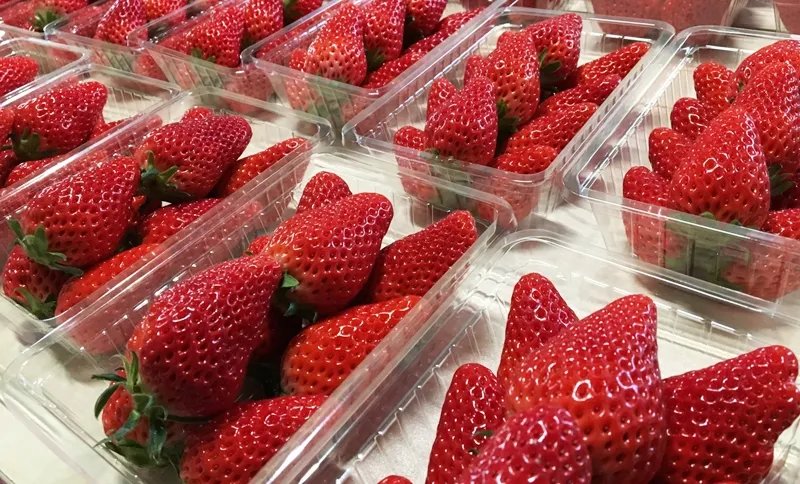 取扱品種・サイズ・出荷単位