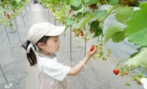 安心・簡単なご購入方法