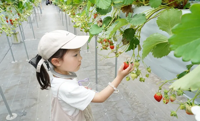 安心・簡単なご購入方法