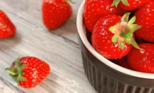 お得に楽しめる 季節のキャンペーン