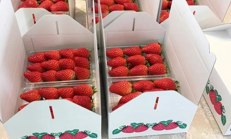 納品形態と梱包スタイル