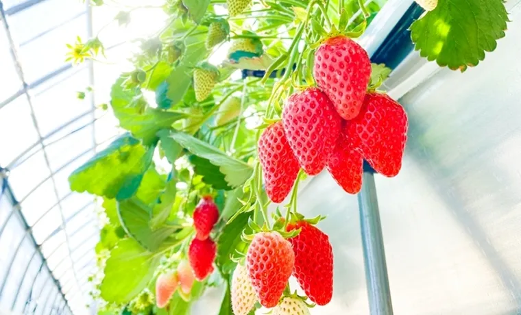 多くの人に愛される食べやすさ