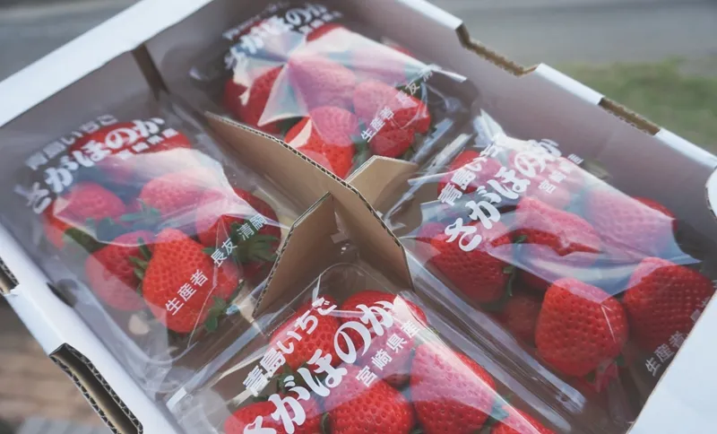 贈答にも安心の丁寧な梱包と発送