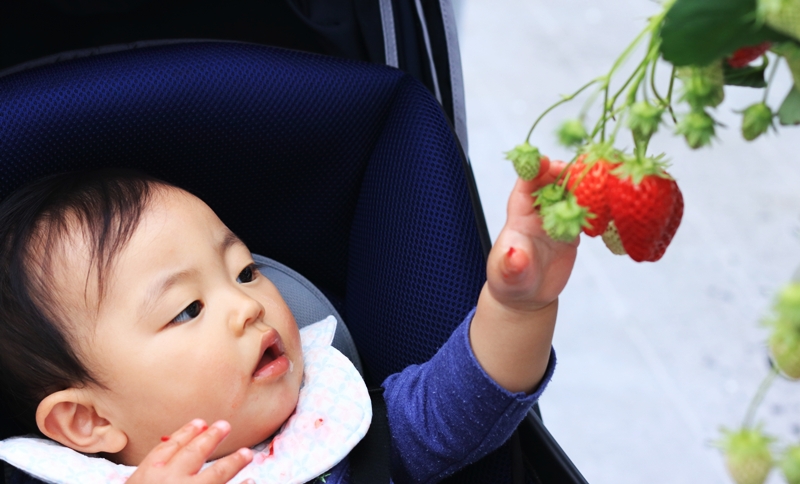 安心して楽しめる設備と衛生管理