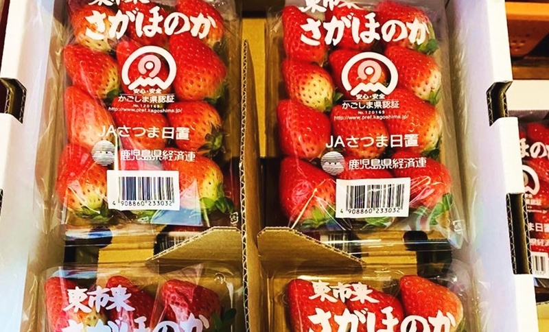 さがほのかを中心とした魅力ある品種体験