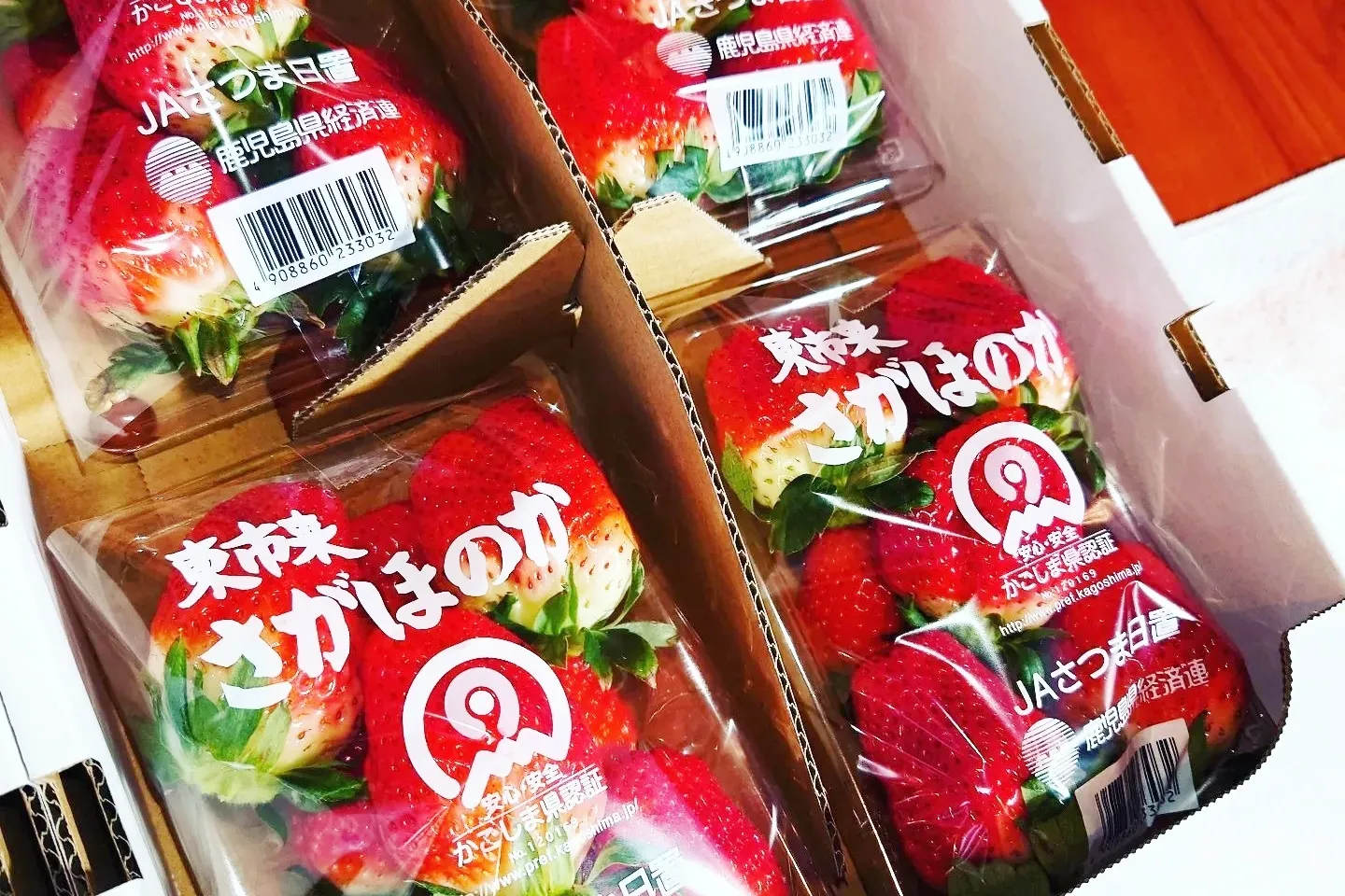 業務用・卸販売も対応する信頼のいちご農園